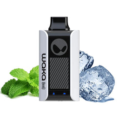 WAKA Sopro 10000 Puffs Fresh Mint